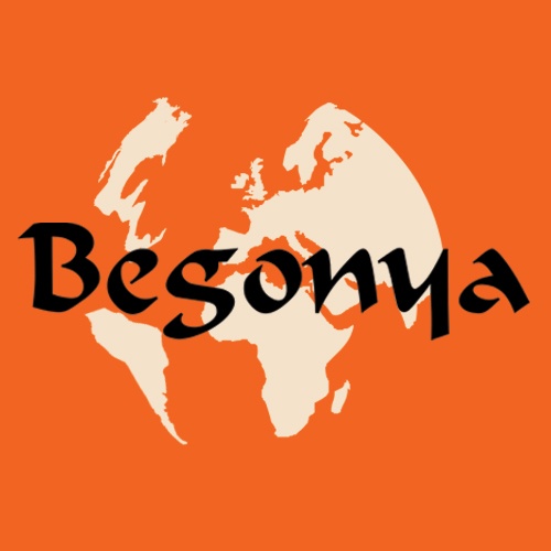 Begonya İnşaat Tesisat Banyo Mobilya Taahhüt