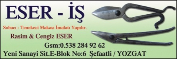 ESER - IS