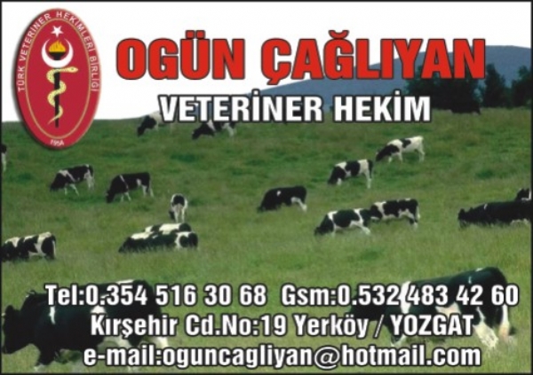 VETERINER HEKIM( YOZGAT )