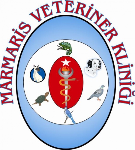 Marmaris Veteriner Kliniği