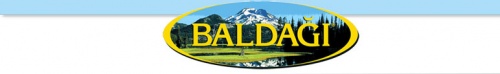Baldağ Tur.oto.gida İnş. Pet. Ve İht. Mad. İth. İhr. Ve Paz. San.tic. Ltd. Şti.