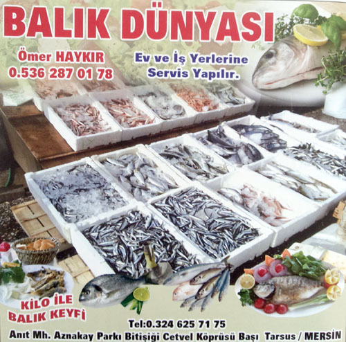 Ömer HAYKIR  Balık Dünyası