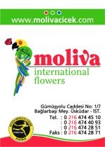 Moliva Uluslararası Çiçekçilik