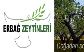 Erbağ Zeytinleri