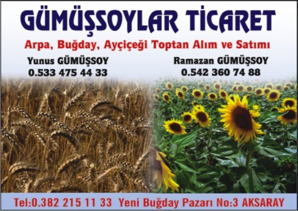 GÜMÜSSOYLAR TICARET