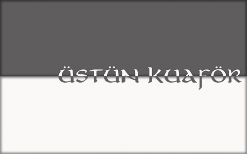 Üstün Bay Bayan Kuaför Salonu