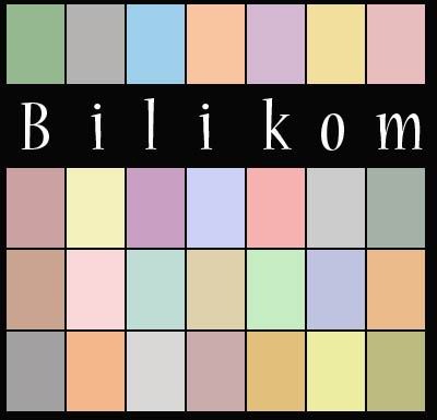 Bilikom Bilişim Hizmetleri Ve Bilgisayar Malzemeleri Ti