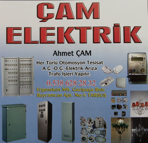 Çam Elektirik