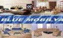 Blue Mobilya Dekarasyon