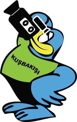 Kuşbakışı Havadan Görüntüleme Sistemleri