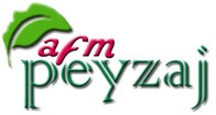Afm Elektronik Ltd.şti