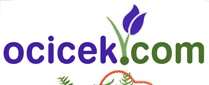Www.ocicek.com İstanbul Izmir Antalya Ankara Bursada Şubeleri Olan Çiçekçilik Hizmeti Çiçek Siparişi