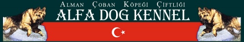 Alfa Sosyal Tesisleri