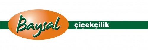 Baysal Çiçekçilik