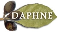 Daphne Tanıtım Hizmetleri