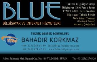 Blue İnternet Ve Bilgisayar Hizmetleri