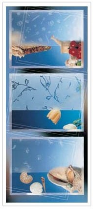.aksu Cam Ticaret