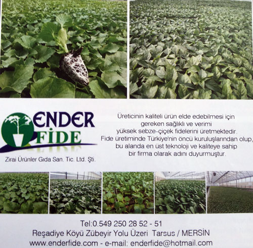 Ender Fide Zirai Ürünler