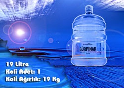 Erdemsu