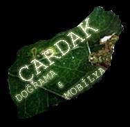 Çardak Doğrama Ve Mobilya
