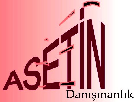 Asetin Danismanlik