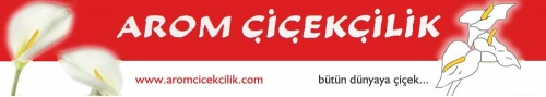 Arom Çiçekçilik Ve Servis Hizmetleri