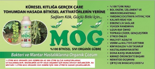 Mog Organik Gübre Dış Tic Ltd Şti