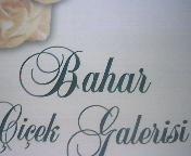 Bahar Çiçek Galerisi