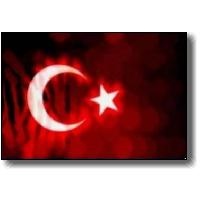 Yapıcı Mobilya Dekorasyon