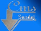 Cms Sondaj