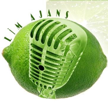 Lim Ajans Reklam  Prodüksiyon Web Geliştirme