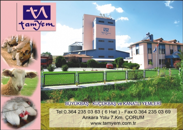 ALAPARA YEM