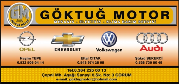 GÖKTUĞ MOTOR