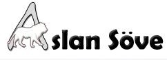 Aslan Söve Dekorasyon