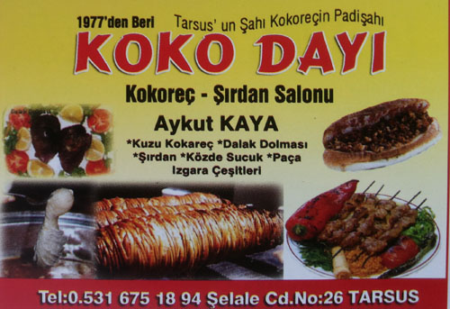 Koko Dayı