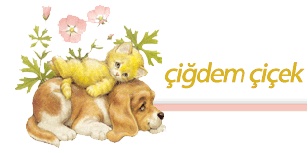 Çiğdem Çiçekçilik