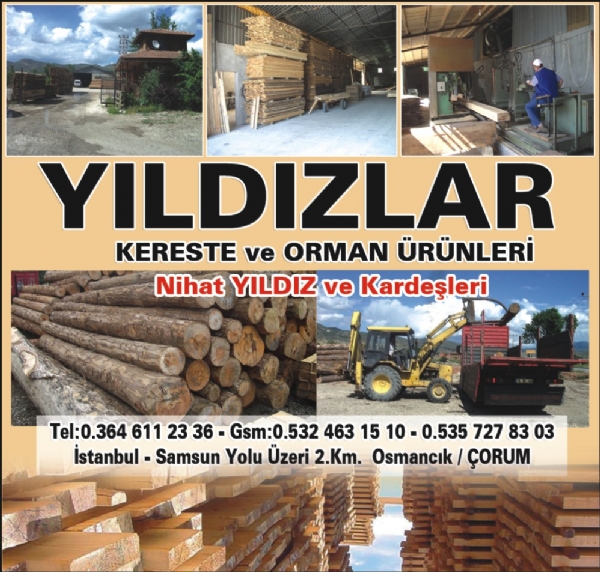 YILDIZLAR KERESTE