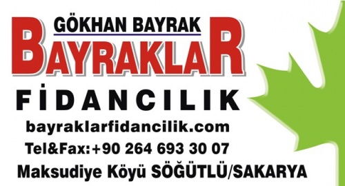 Bayraklar  Fidancılık