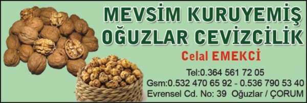 MEVSİM KURUYEMİŞ