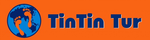 Tintin Tur