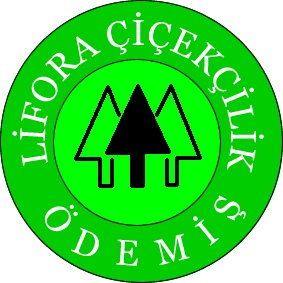 Lifora Çiçekçilik Ve Fidancilik