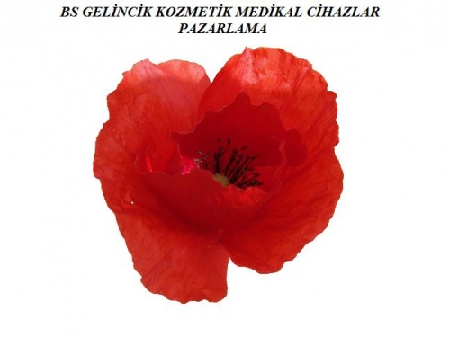 Bs Gelincik Kozmetik Medikal Cihaz Pazarlama