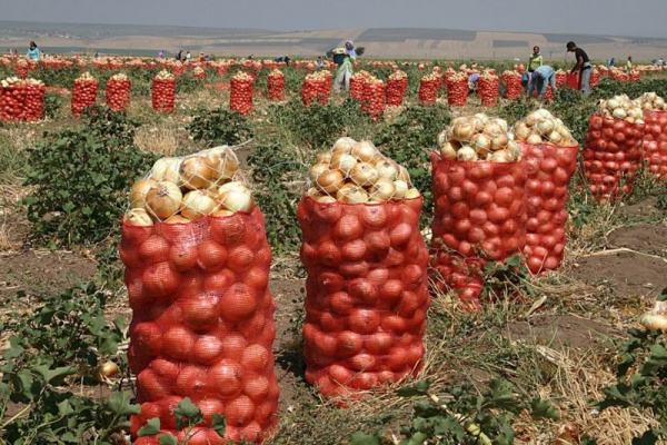 Bakioğulları Ticaret