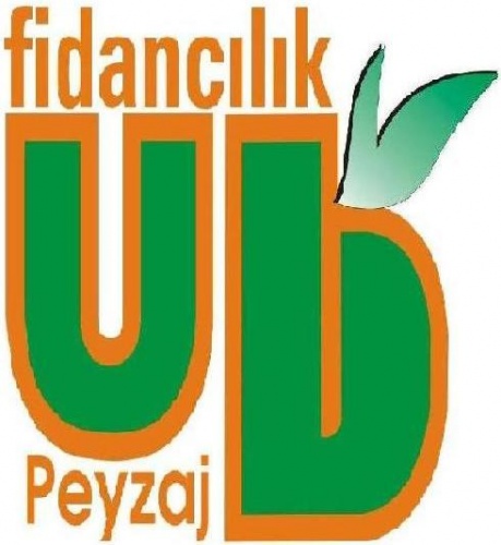 Ub Fidancilik Ve Peyzaj