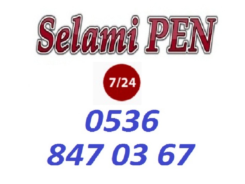 Selamipen