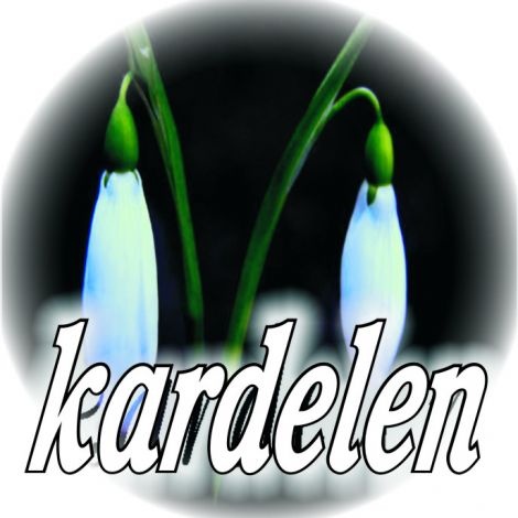 Kardelen Mountain Resort Yetkili Satiş Acentesi Ferhat Özenç