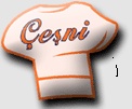 Çeşni Catering