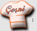 Çeşni Catering