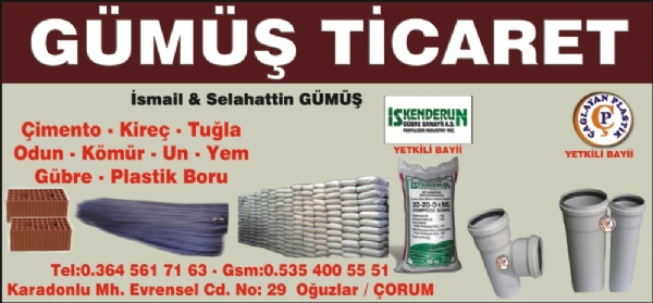 GÜMÜŞ TİCARET(KARADONLU)