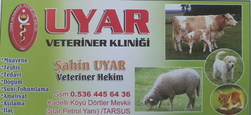 Uyar Veteriner Klıniği